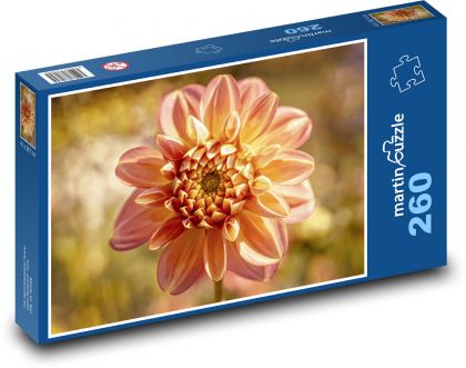 Jiřina - květ, zahrada - Puzzle 260 dílků, rozměr 41x28,7 cm