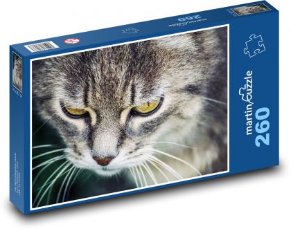 Pet cat - animal portrait, pet - Puzzle 260 pieces, size 41x28.7 cm 