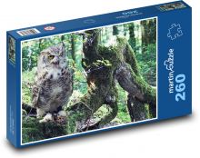 Sova v lese - dravý pták, příroda Puzzle 260 dílků - 41 x 28,7 cm
