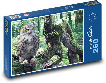 Sova v lese - dravý pták, příroda - Puzzle 260 dílků, rozměr 41x28,7 cm