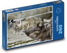 Domácí mazlíček - kočka, napít se Puzzle 260 dílků - 41 x 28,7 cm