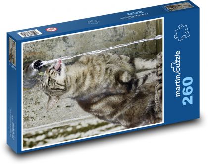 Pet - mačka, nápoj - Puzzle 260 dielikov, rozmer 41x28,7 cm