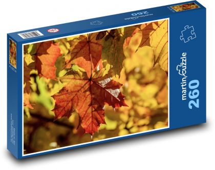 Javor - barevné listy, podzim - Puzzle 260 dílků, rozměr 41x28,7 cm
