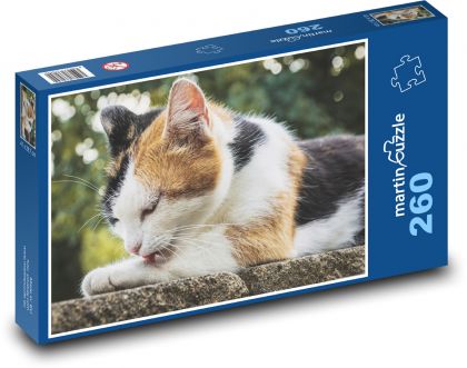 Mačička - domáce zviera, mačiatko - Puzzle 260 dielikov, rozmer 41x28,7 cm
