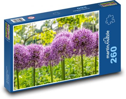 Okrasná cibule - fialový květ, rostlina - Puzzle 260 dílků, rozměr 41x28,7 cm