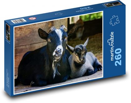Čierna koza - koza, zviera - Puzzle 260 dielikov, rozmer 41x28,7 cm