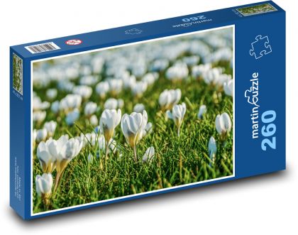 Bílé krokusy - jarní louka, květy - Puzzle 260 dílků, rozměr 41x28,7 cm