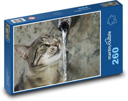 Kočka - voda, žízeň - Puzzle 260 dílků, rozměr 41x28,7 cm