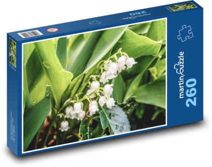 Bílá konvalinka - květ, jaro  - Puzzle 260 dílků, rozměr 41x28,7 cm