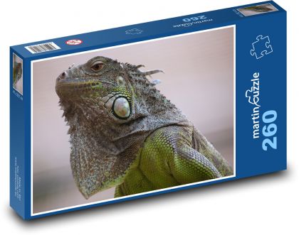 Leguan - Eidechse, Reptil - Puzzle - 260 Teile