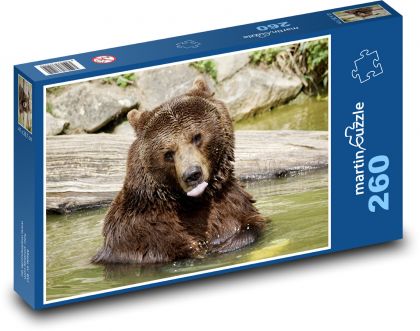 Medveď - cicavec, zviera - Puzzle 260 dielikov, rozmer 41x28,7 cm