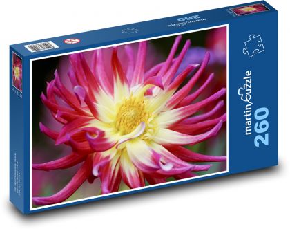 Jiřina - autumn flower, garden - Puzzle 260 pieces, size 41x28.7 cm 