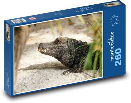 Krokodýl - plaz, zvíře - Puzzle 260 dílků, rozměr 41x28,7 cm