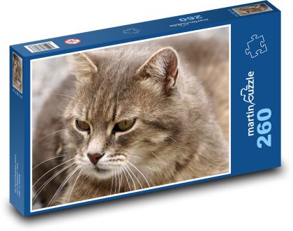 Kočka - domácí zvíře - Puzzle 260 dílků, rozměr 41x28,7 cm