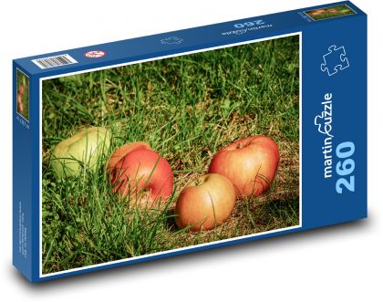 Jablká v tráve - ovocie, spadnuté - Puzzle 260 dielikov, rozmer 41x28,7 cm