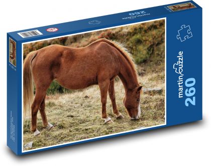 Hnědý kůň - zvíře, příroda - Puzzle 260 dílků, rozměr 41x28,7 cm