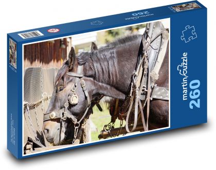 Głowa konia - zwierzę, koń - Puzzle 260 elementów, rozmiar 41x28,7 cm