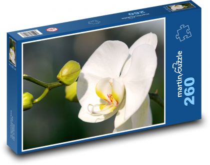 Biała orchidea - kwiat, roślina - Puzzle 260 elementów, rozmiar 41x28,7 cm