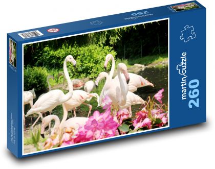 Plameňáci - ptáci, zvířata - Puzzle 260 dílků, rozměr 41x28,7 cm