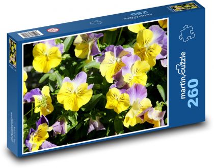 Fialové macešky - barevné květiny, jaro - Puzzle 260 dílků, rozměr 41x28,7 cm