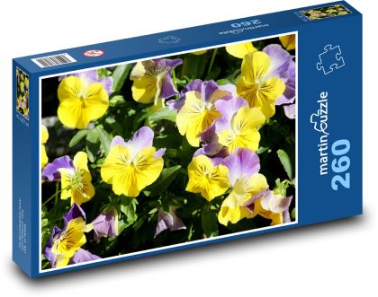 Lila Stiefmütterchen - bunte Blumen, Frühling - Puzzle - 260 Teile
