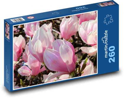 Magnólie - růžové květy, strom - Puzzle 260 dílků, rozměr 41x28,7 cm