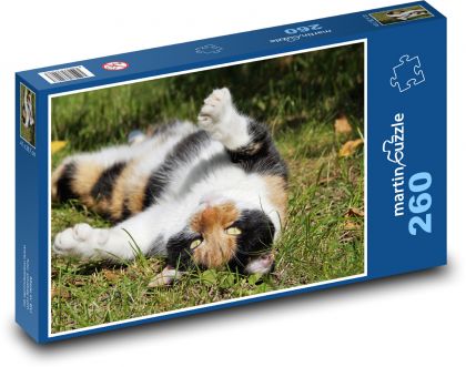 Kočka - mazlíček, zvíře - Puzzle 260 dílků, rozměr 41x28,7 cm