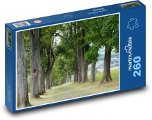 Alley - tree-order, road Puzzle 260 pieces - 41 x 28.7 cm 
