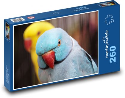 Papoušek - pták, zvíře - puzzle 260 dílků