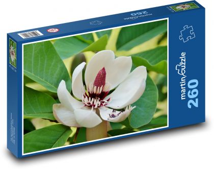 Magnolie - Zierbaum, Blume - Puzzle - 260 Teile