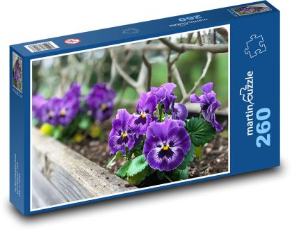 Fialová maceška - jarné kvety, kvety - Puzzle 260 dielikov, rozmer 41x28,7 cm