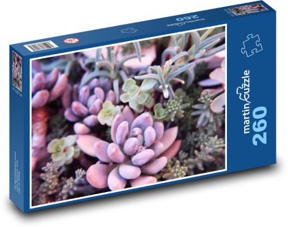 Sukkulenten - Kakteen, Blumen - Puzzle - 260 Teile