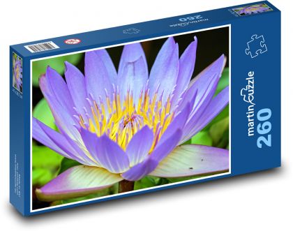 Ľalie - kvet, kvet - Puzzle 260 dielikov, rozmer 41x28,7 cm