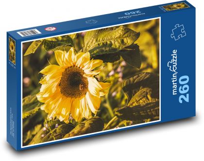 Slnečnica - žltý kvet, okvetné lístky - Puzzle 260 dielikov, rozmer 41x28,7 cm