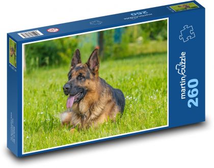 Owczarek niemiecki - pies, łąka - Puzzle 260 elementów, rozmiar 41x28,7 cm