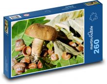 Houba - žaludy, listí Puzzle 260 dílků - 41 x 28,7 cm