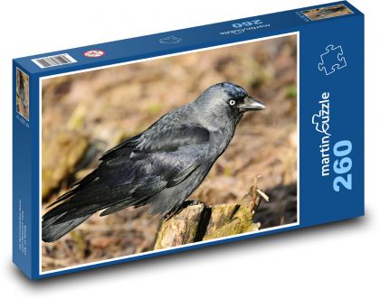 Kavka - vták, zviera - Puzzle 260 dielikov, rozmer 41x28,7 cm