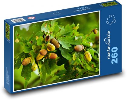 Žalude - dub, strom - Puzzle 260 dielikov, rozmer 41x28,7 cm
