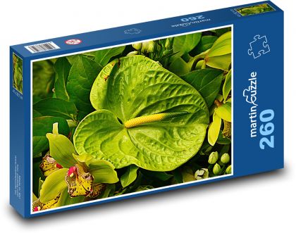 Anthurium - kvet, rastlina - Puzzle 260 dielikov, rozmer 41x28,7 cm
