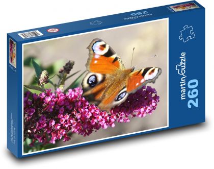 Butterfly - flower, pollinate - Puzzle 260 pieces, size 41x28.7 cm 