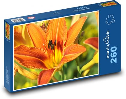 Oranžové lilie - květiny, rostliny - Puzzle 260 dílků, rozměr 41x28,7 cm