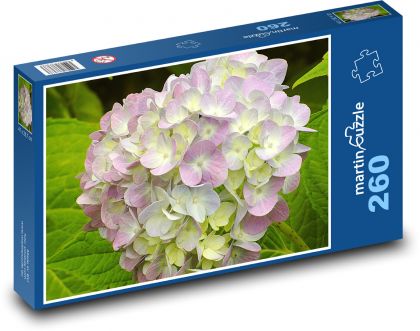 Kvetina hortenzie - rastlina, kvet - Puzzle 260 dielikov, rozmer 41x28,7 cm
