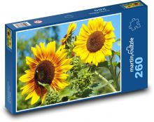 Sunflowers - yellow flowers, summer Puzzle 260 pieces - 41 x 28.7 cm