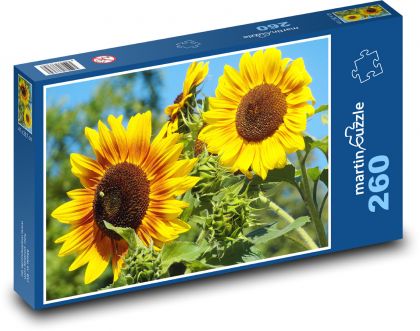 Slnečnice - žlté kvety, leto - Puzzle 260 dielikov, rozmer 41x28,7 cm