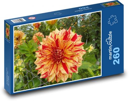 Jiřina - okvětní lístky, květ - Puzzle 260 dílků, rozměr 41x28,7 cm