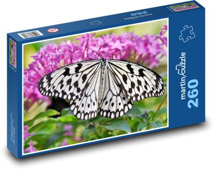 Schmetterling - Tropisches Insekt, Flügel - Puzzle - 260 Teile