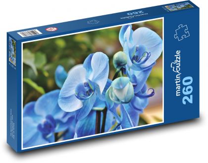 Modrá orchidej - květina, rostlina - Puzzle 260 dílků, rozměr 41x28,7 cm
