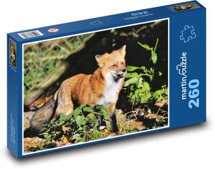 Liška - divoké zviera, predátor - Puzzle 260 dielikov, rozmer 41x28,7 cm