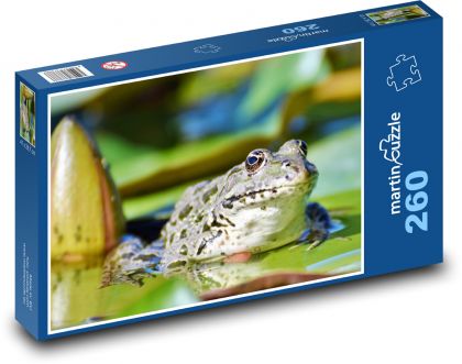 Froschkröte, Amphibie - Puzzle - 260 Teile
