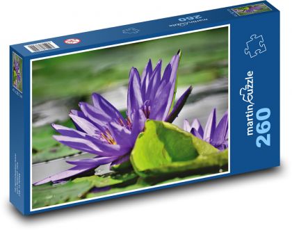 Fialový leknín - vodní rostlina, rybník - Puzzle 260 dílků, rozměr 41x28,7 cm